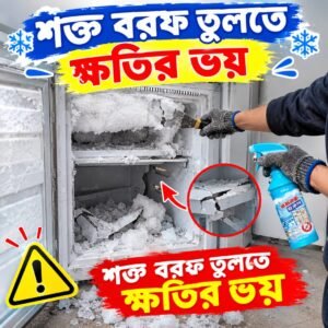 শক্ত বরফ তুলতে ফ্রিজারের ক্ষতির ভয়